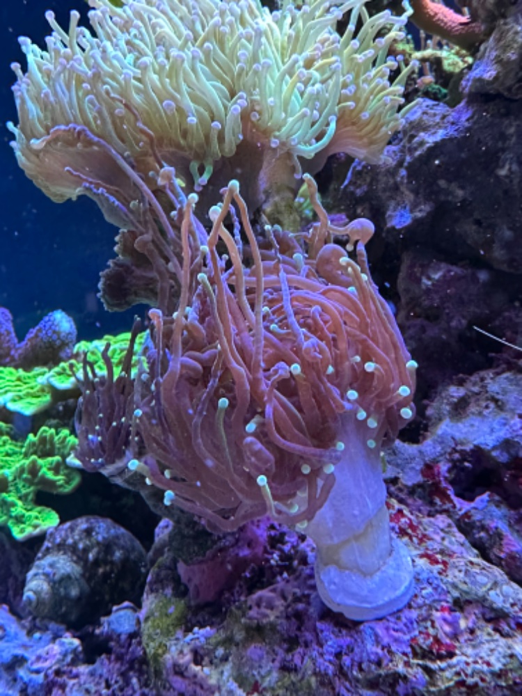 IMG_2208.jpeg