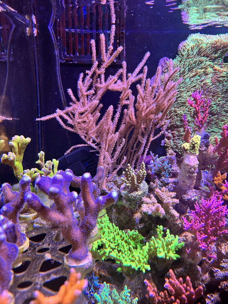 IMG_2303.jpeg