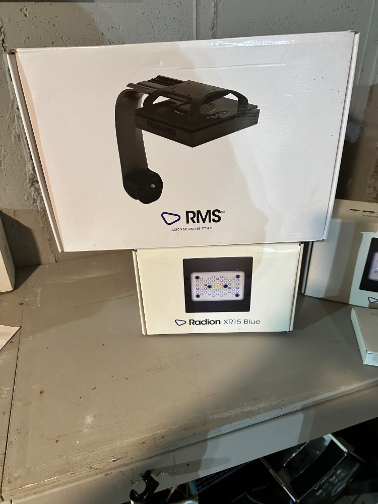 IMG_2367.jpeg