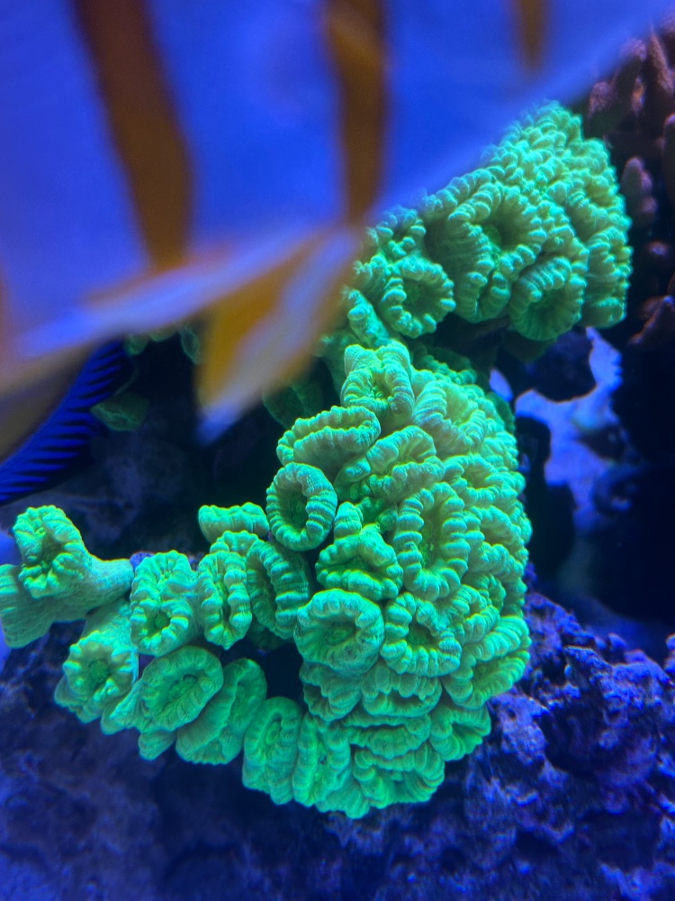 IMG_2611.jpeg