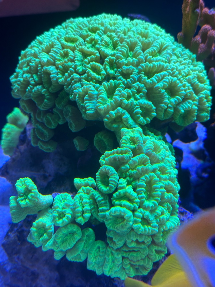 IMG_2612.jpeg