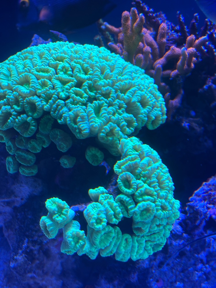 IMG_2614.jpeg