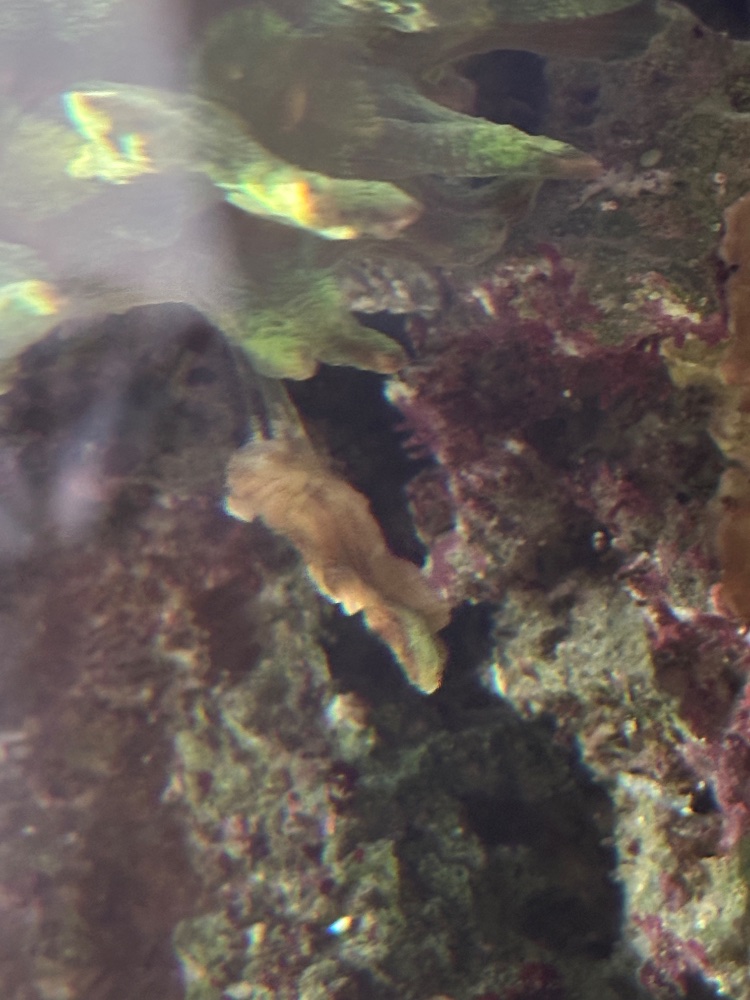 IMG_2643.jpeg