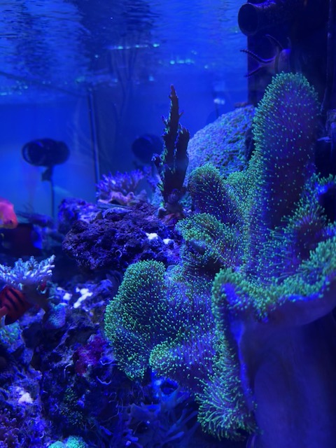 IMG_2689.jpg