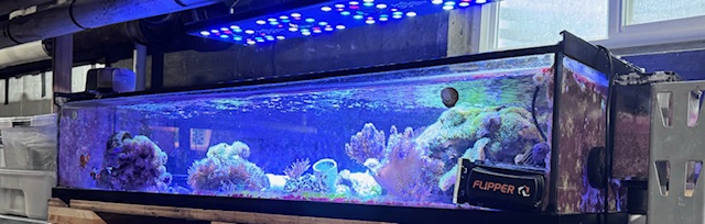 IMG_2695.jpg