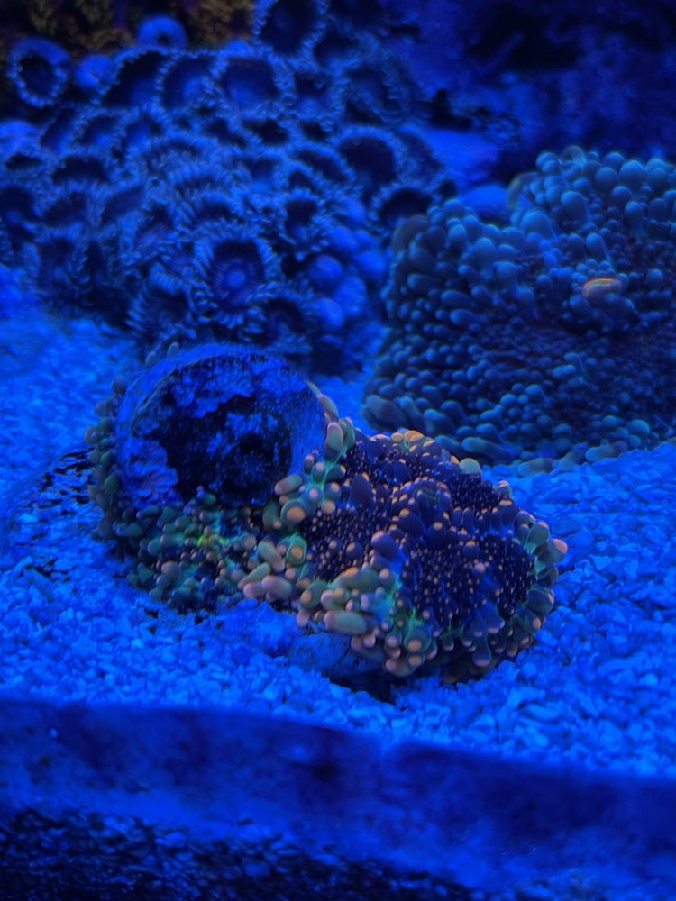 IMG_3108.jpeg