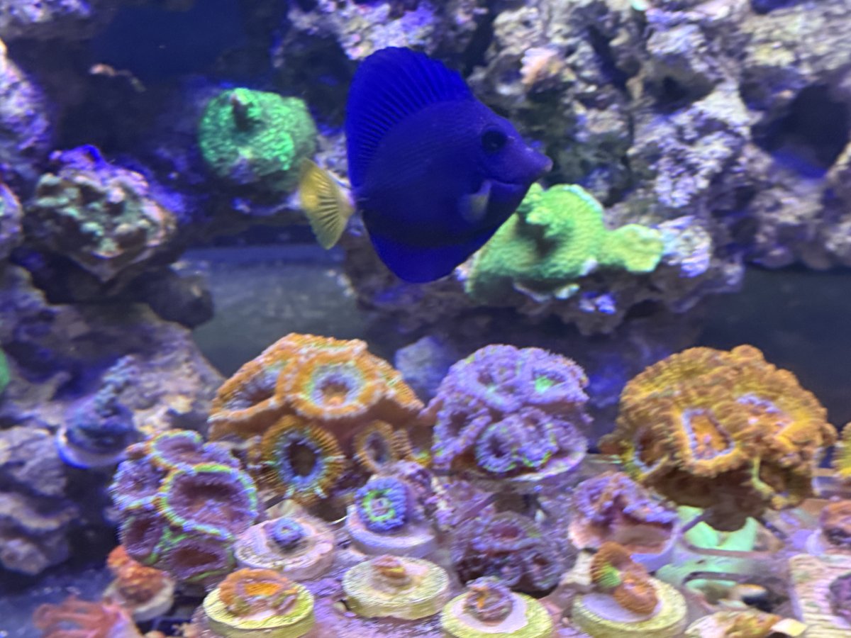 IMG_3115.jpeg