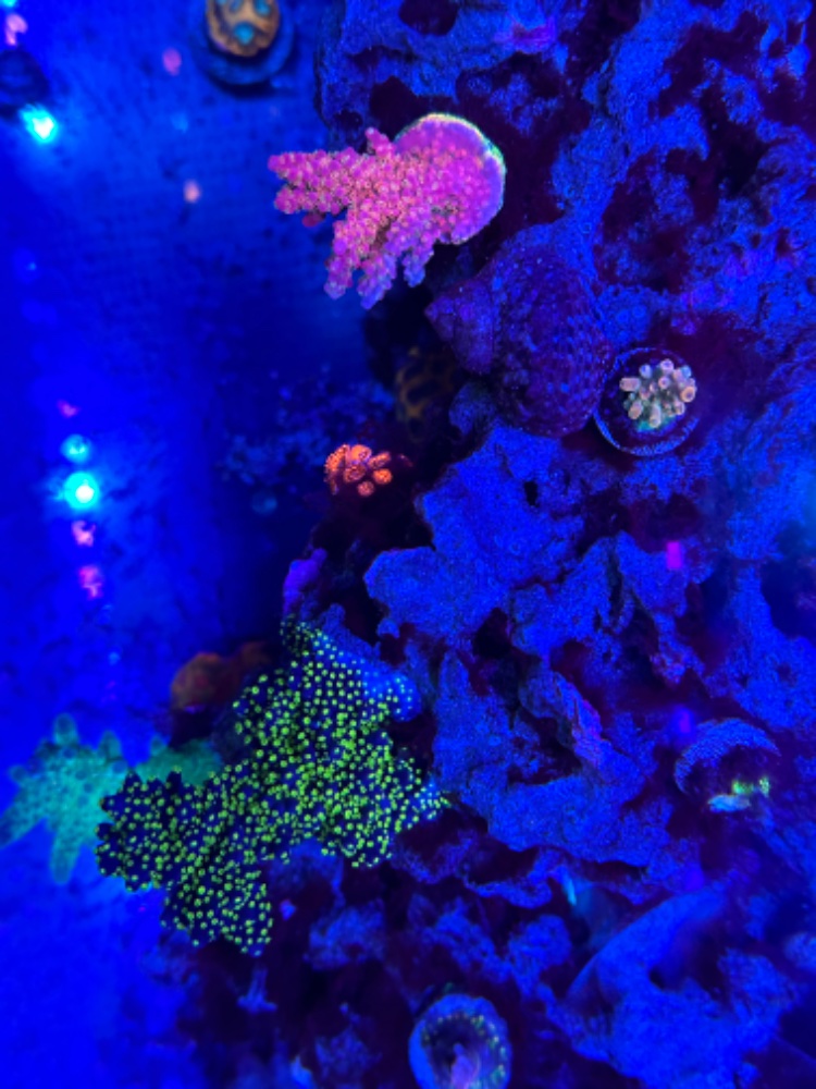 IMG_3137.jpeg