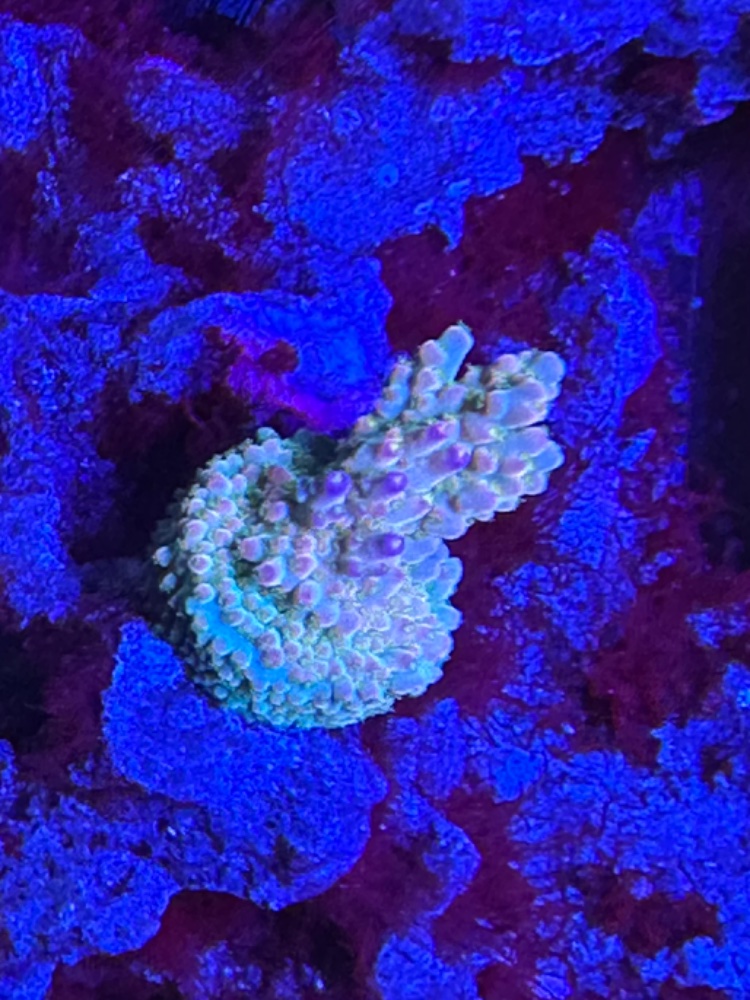 IMG_3144.jpeg