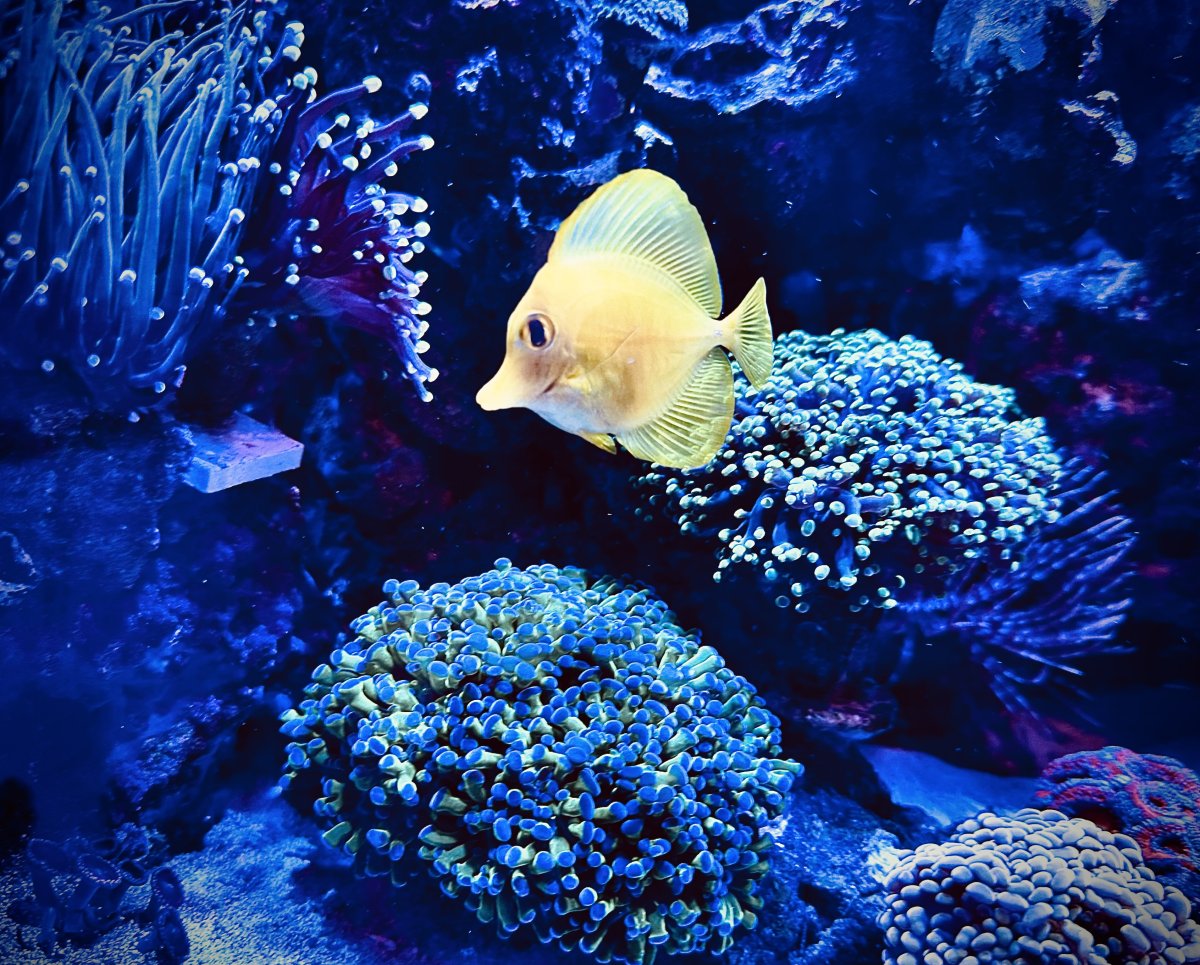 IMG_3194.jpeg
