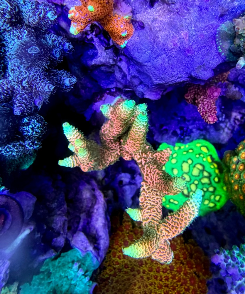 IMG_3210.jpeg