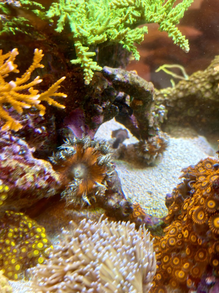 IMG_3263.jpeg