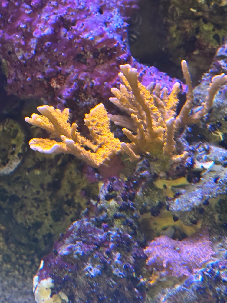 IMG_3279.jpeg