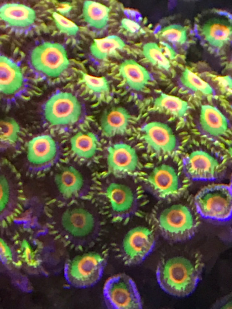 IMG_3374.jpeg