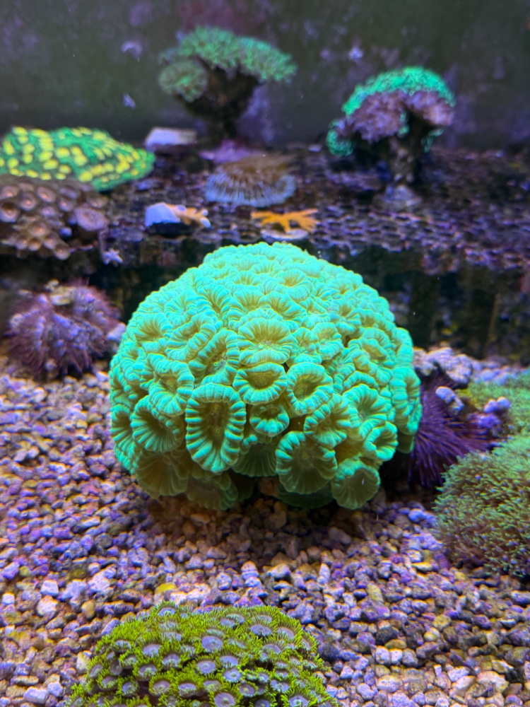 IMG_3450.jpeg