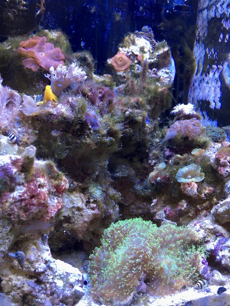 IMG_3518.jpg