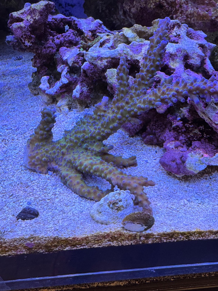 IMG_3560.jpeg