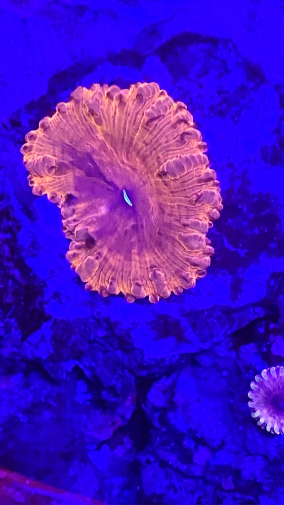IMG_3644.jpeg