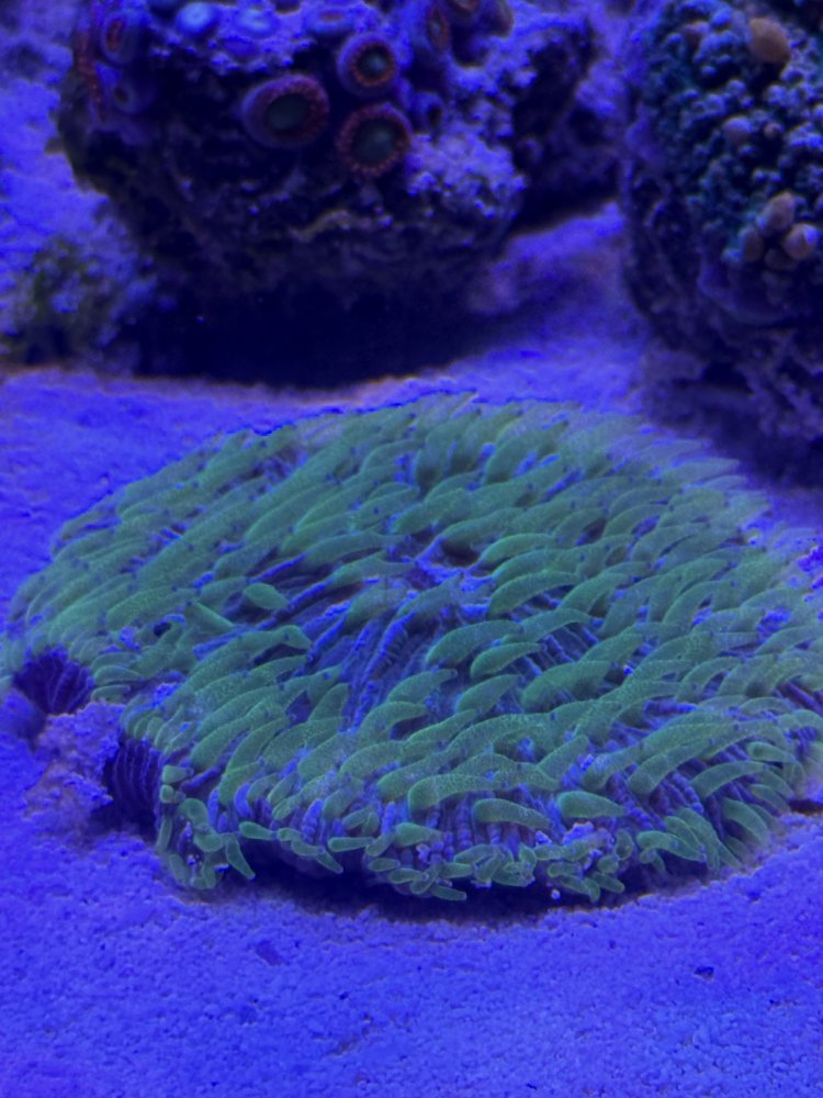 IMG_3702.jpeg