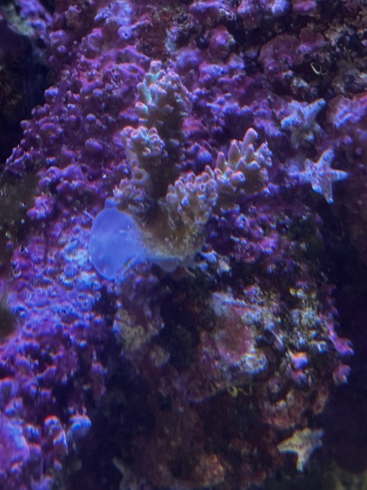 IMG_3821.jpeg