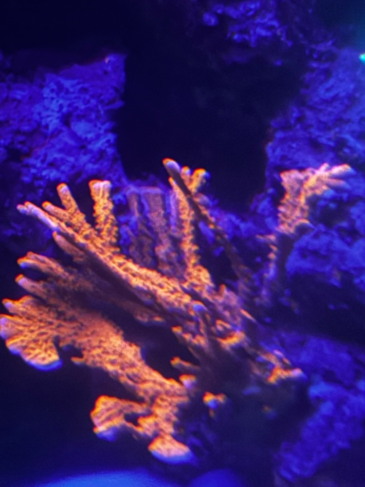 IMG_3839.jpeg