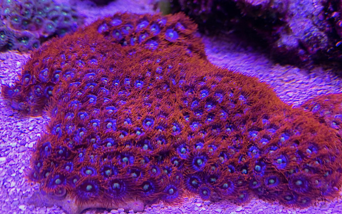 IMG_3870.jpg