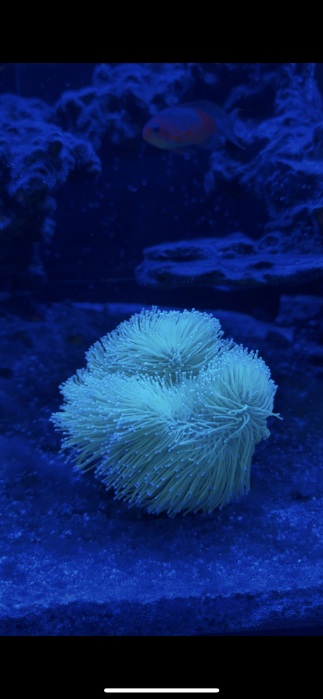IMG_4245.png