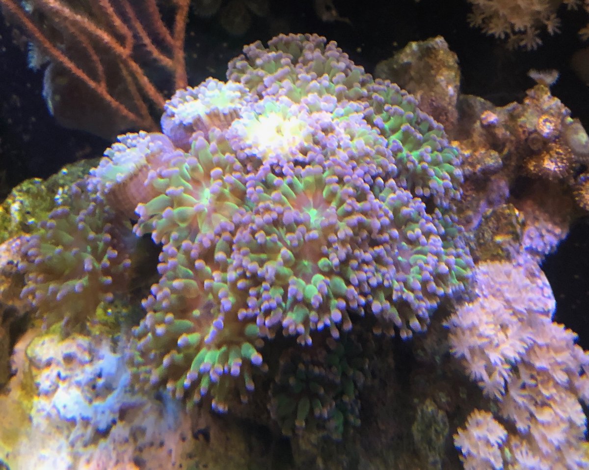 IMG_4503.jpeg