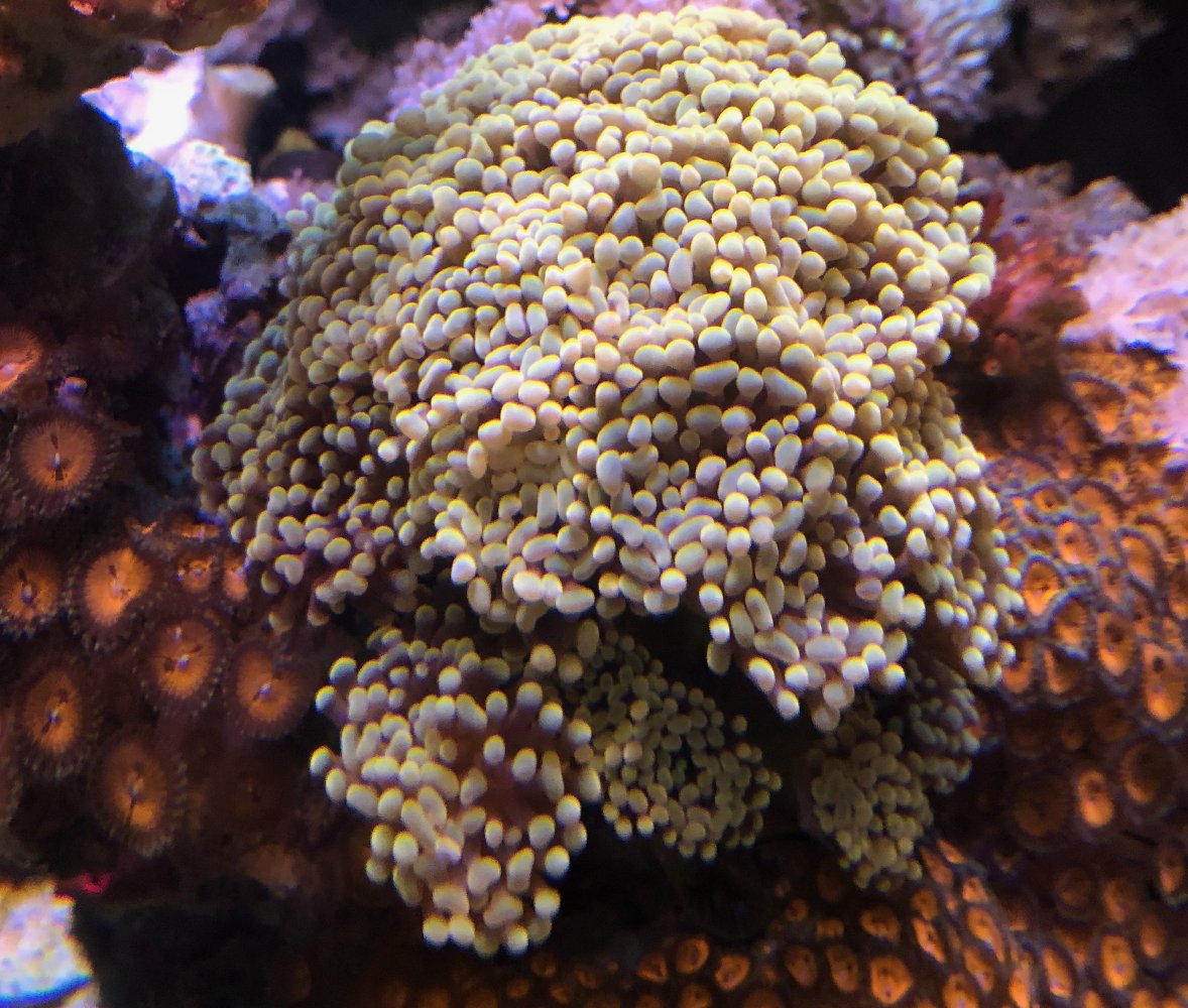 IMG_4505.jpeg
