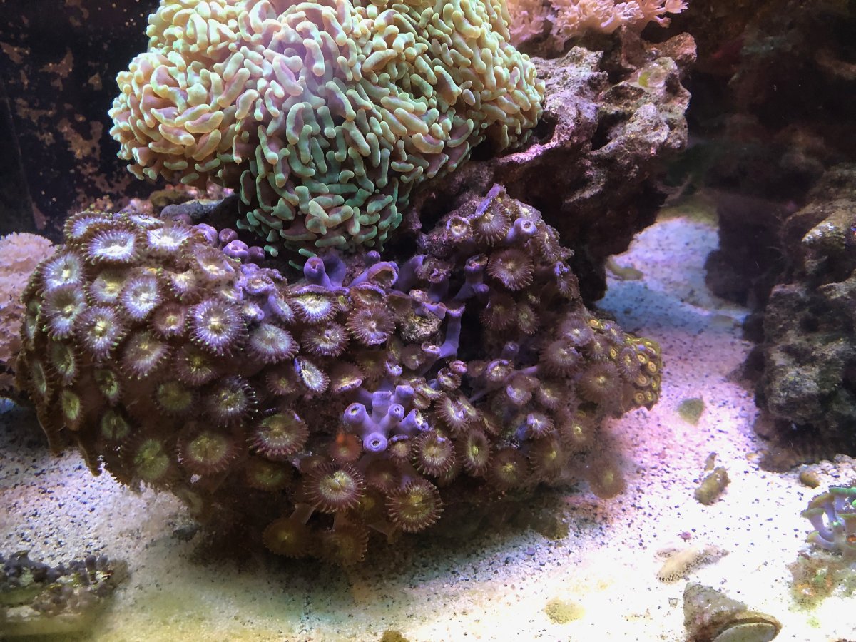 IMG_4520.jpeg