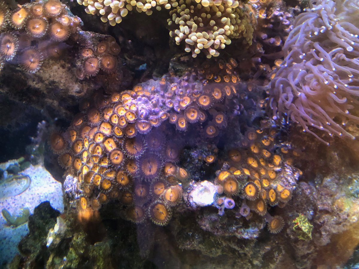 IMG_4523.jpeg