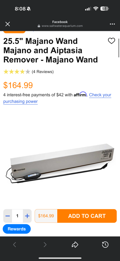 IMG_4562.png