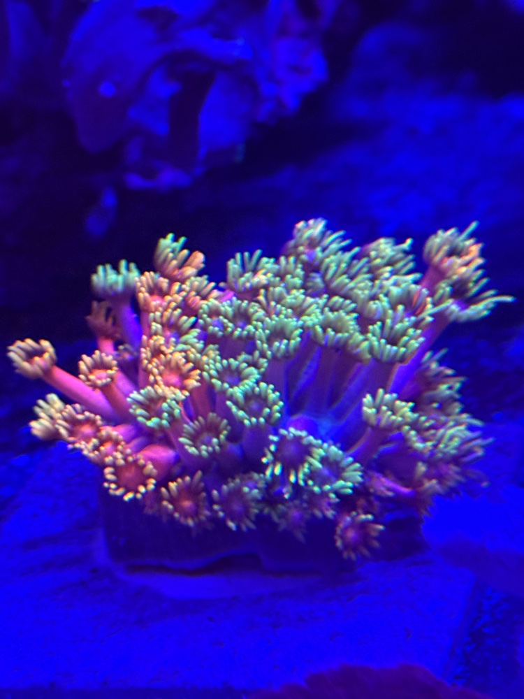 IMG_4860.jpeg