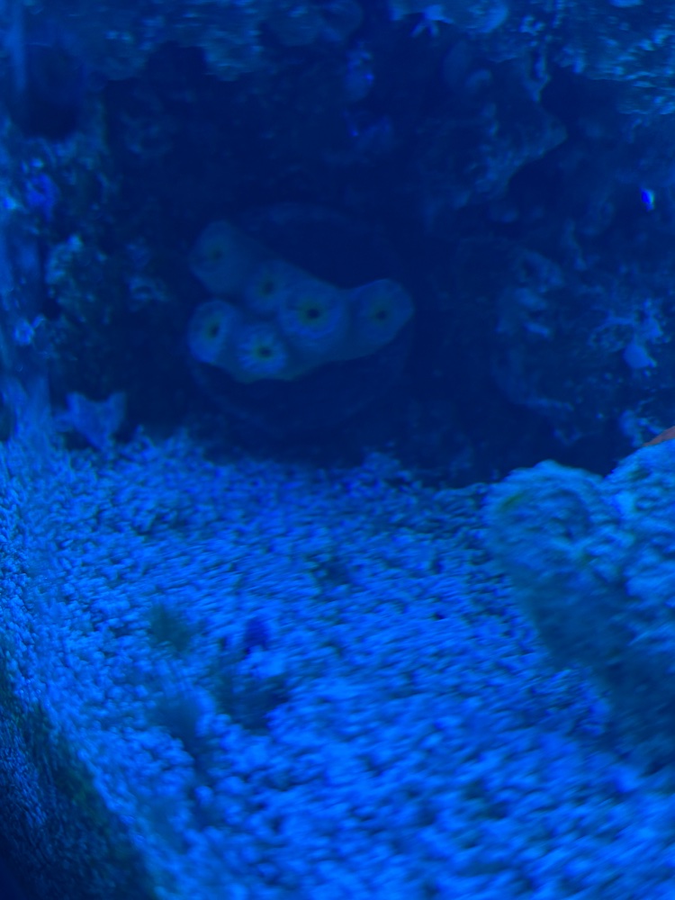 IMG_4954.jpeg