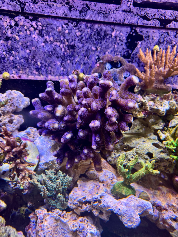IMG_5209.jpeg
