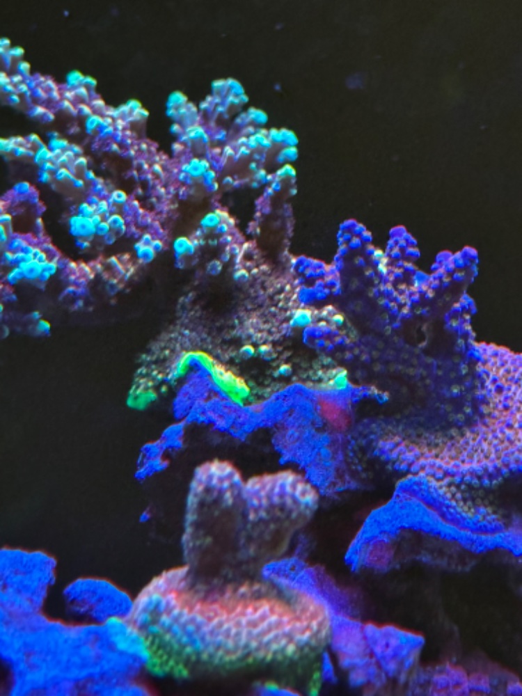 IMG_5484.jpeg
