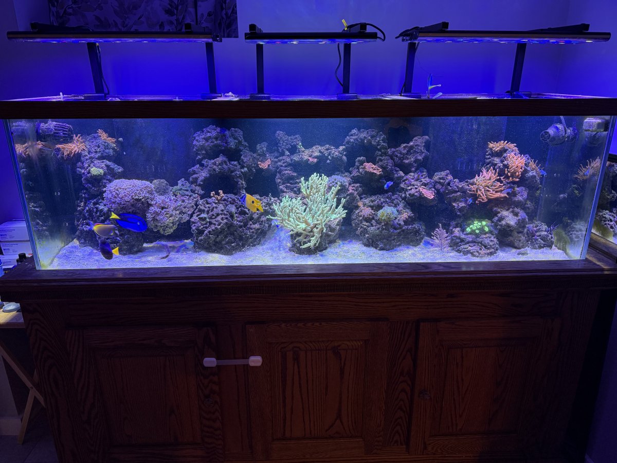 IMG_5512.jpeg