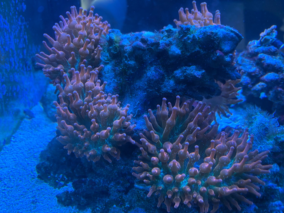 IMG_5624.jpeg