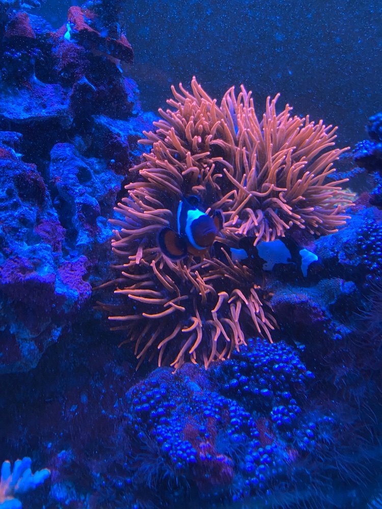 IMG_5651.jpeg