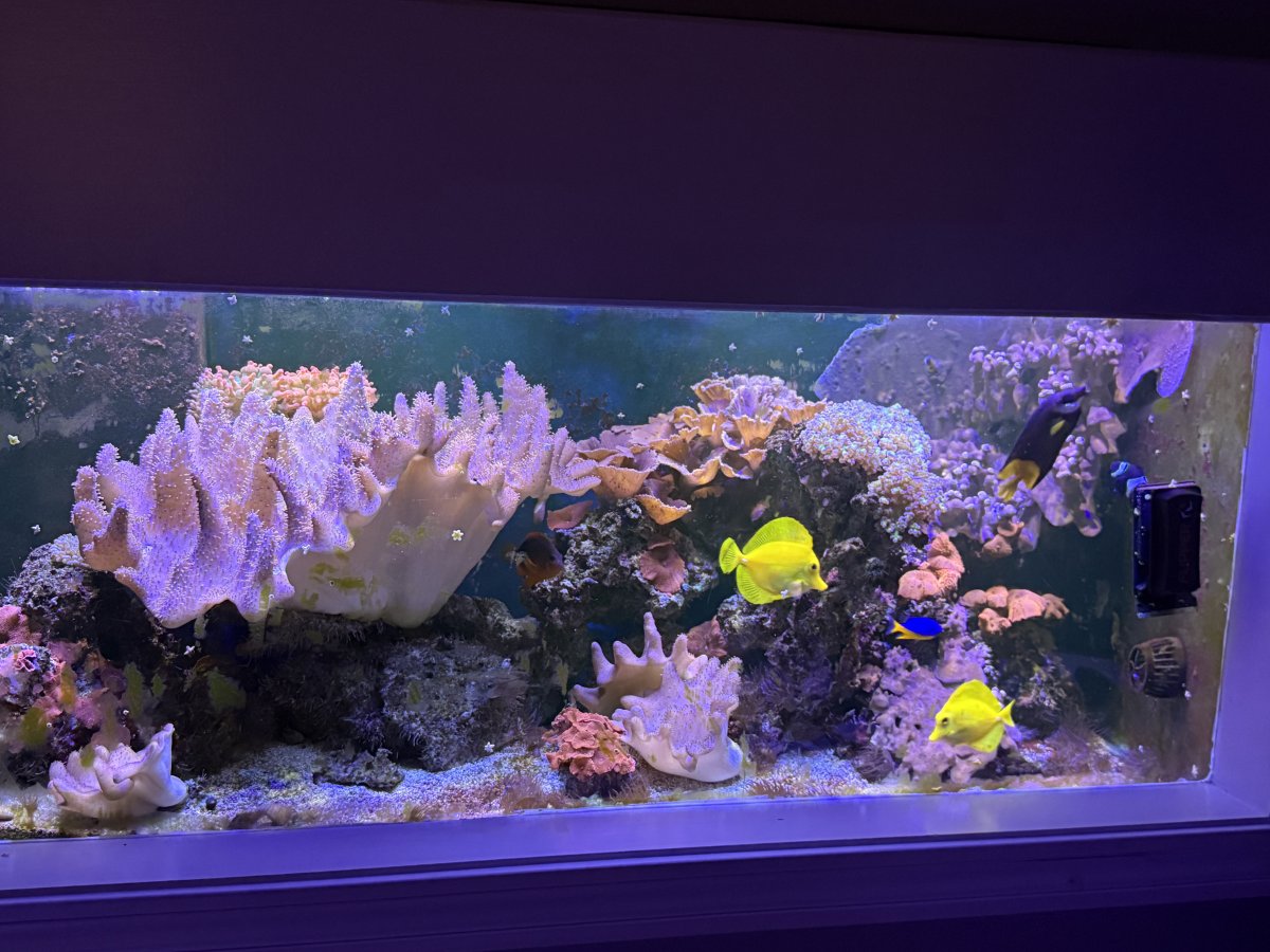 IMG_5751.jpeg