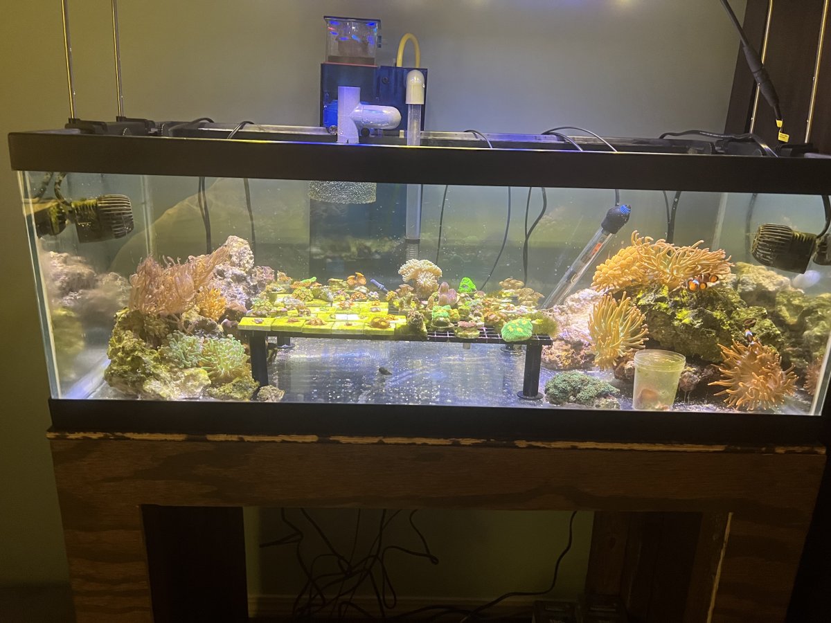 IMG_5896.jpeg