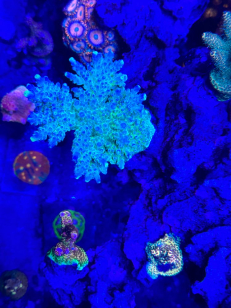 IMG_5990.jpeg