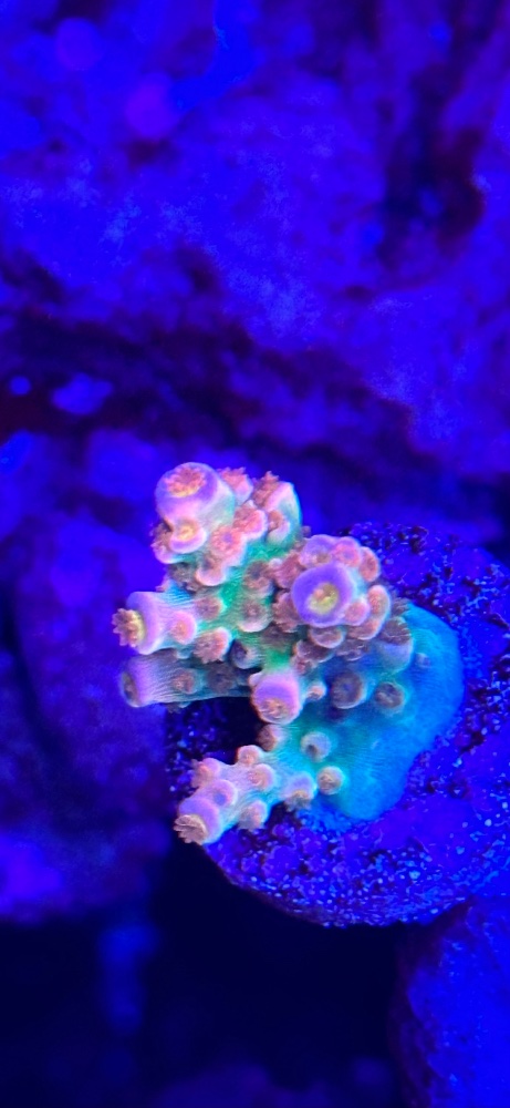 IMG_6013.jpeg