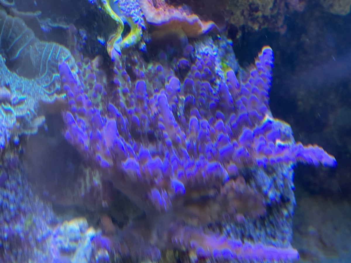 IMG_6196.jpeg