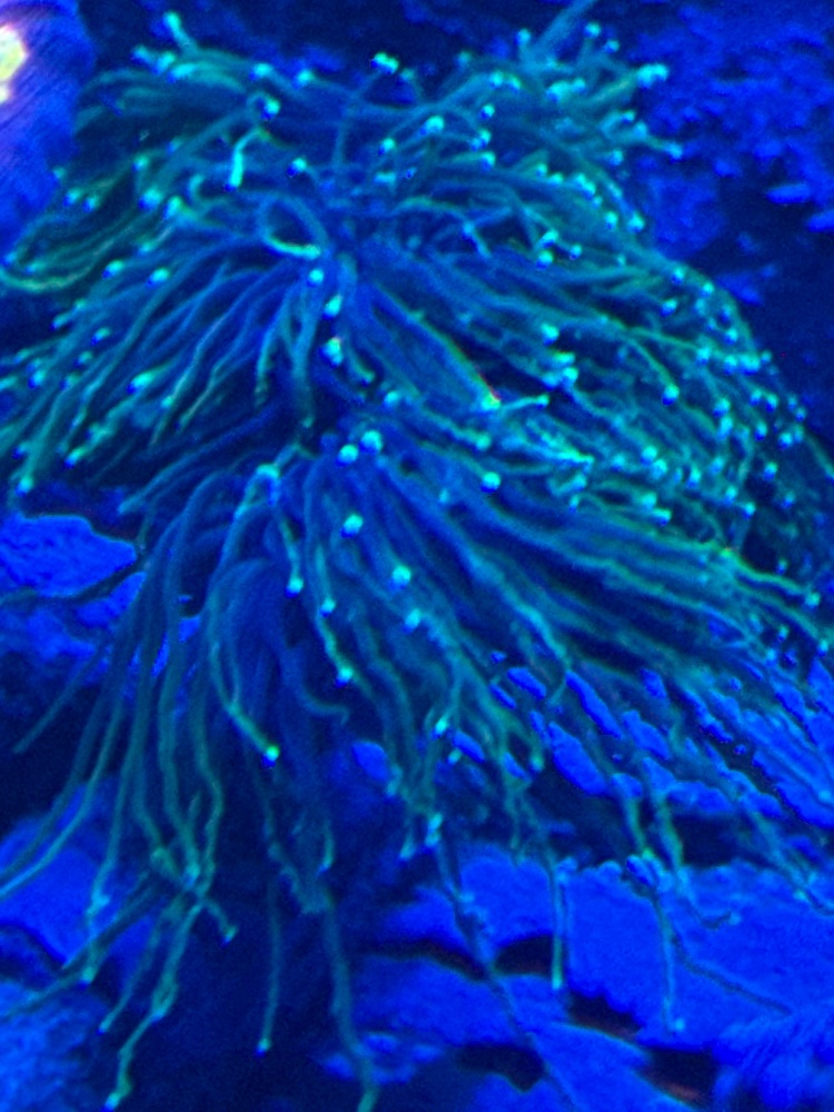 IMG_6206.jpeg