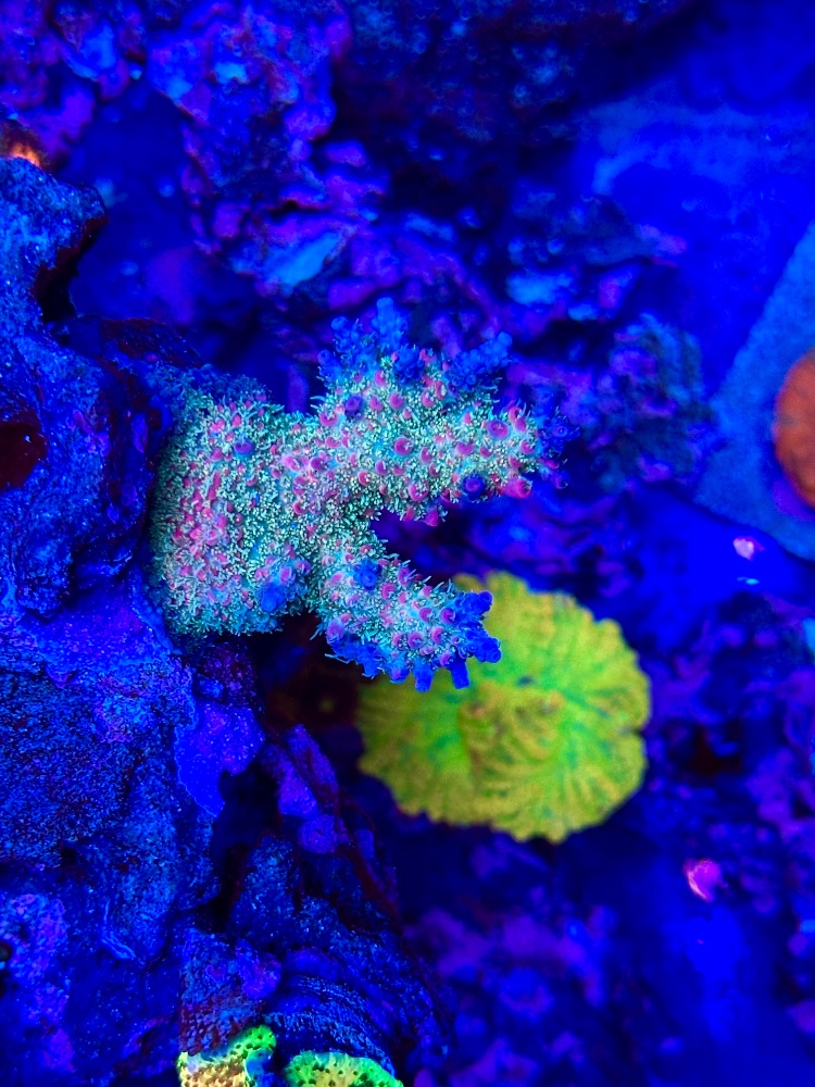 IMG_6310.jpeg