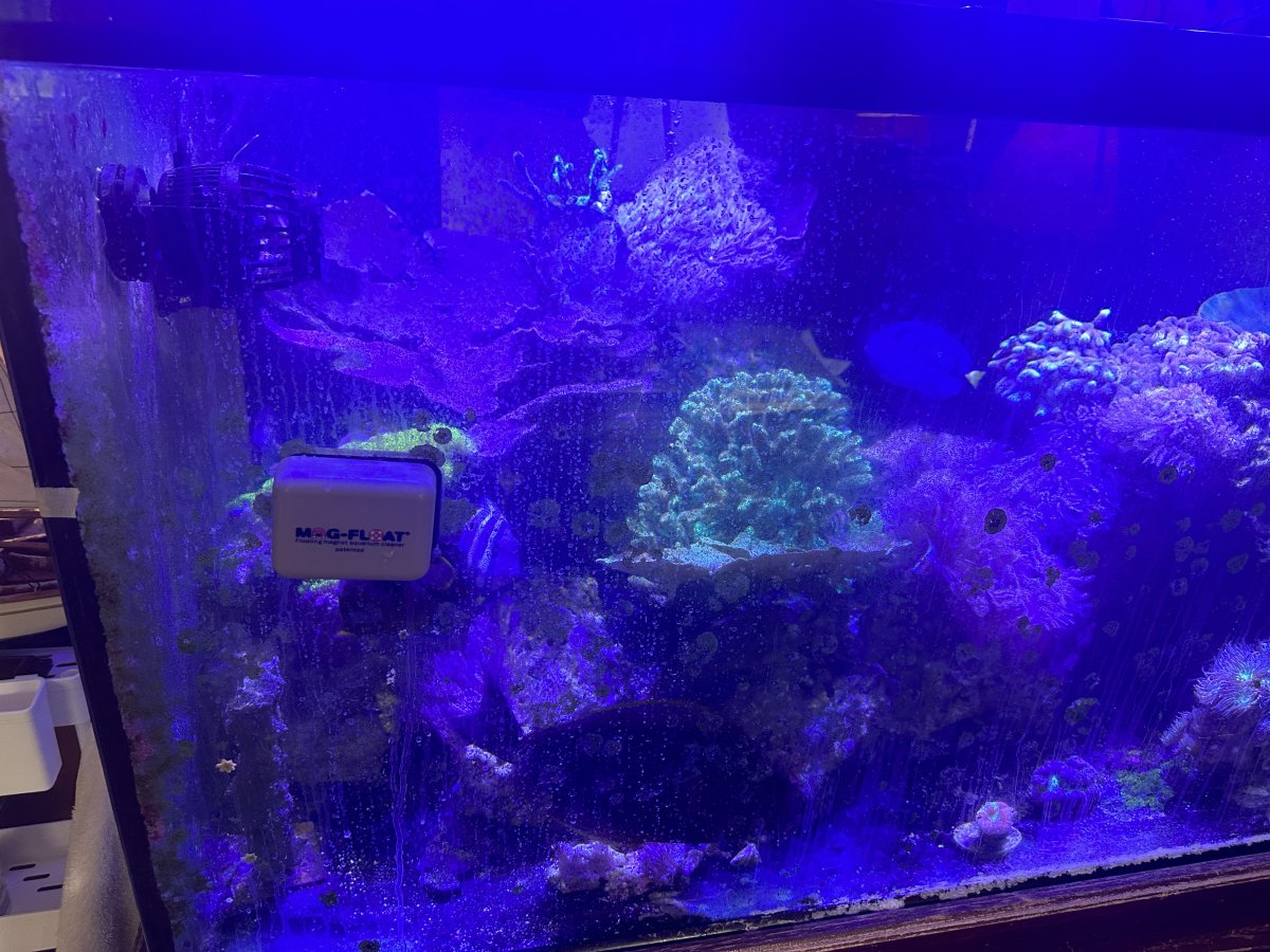 IMG_6608.jpeg