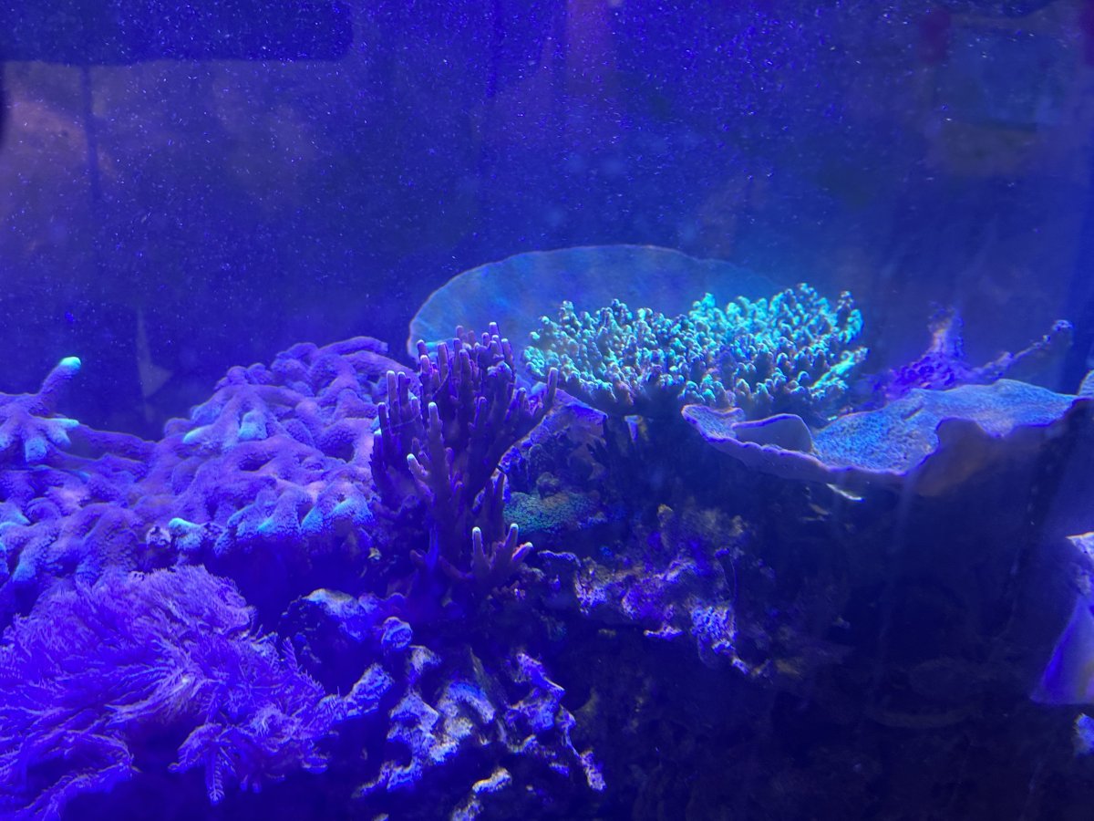 IMG_6610.jpeg
