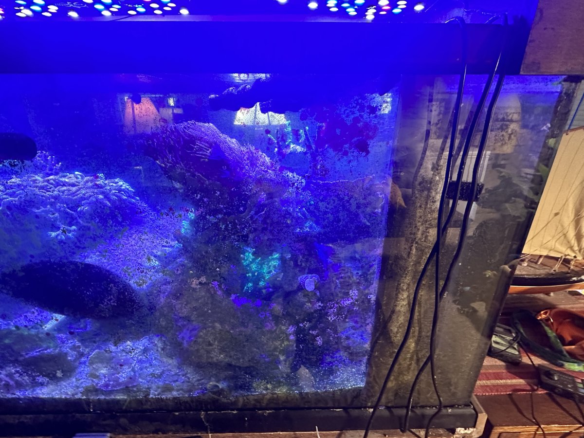 IMG_6615.jpeg