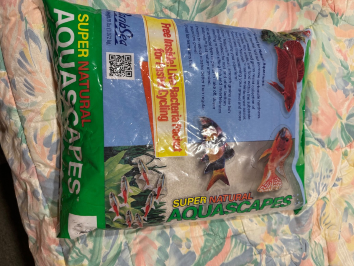 IMG_6778.jpeg